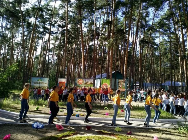 Буинцы,  пора приобрести путевки в летние детские оздоровительные лагеря.  С 1 марта  стартует приём заявок на «Чайка» и «Бор».  Какие документы при этом требуются, смотрите по ссылке