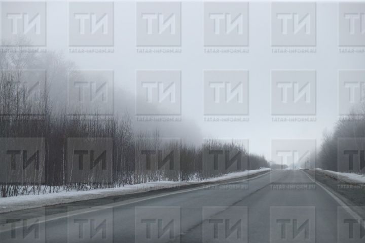 До конца рабочей недели потеплеет до плюс 5 градусов