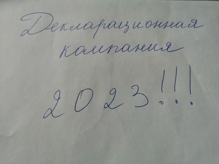 Управление Федеральной налоговой службы по Республике Татарстан/ «Декларационная кампания - 2023»