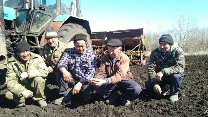 В хозяйстве «Бола» Буинского района вышли в поле (фото, видео