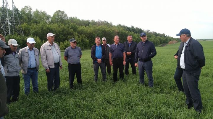В Буинском районе продолжается приемка полей (ВИДЕО)
