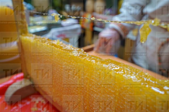 Татарстан Республикасы бал җитештерү буенча алдынгы төбәкләр бишлегенә керде