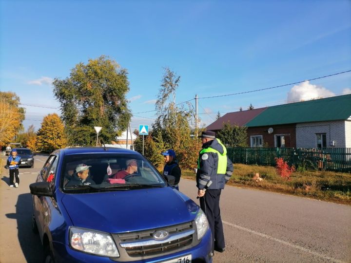 «Единый день безопасности дорожного движения» в Буинске