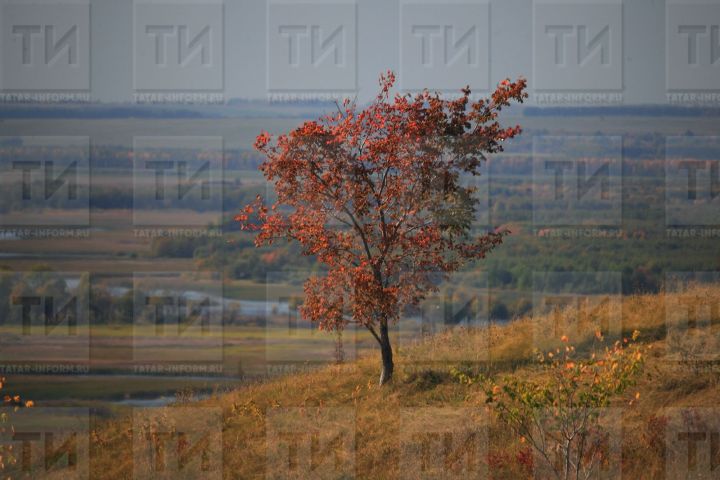 Гидрометцентр РТ: Татарстан ожидает теплая и сухая погода