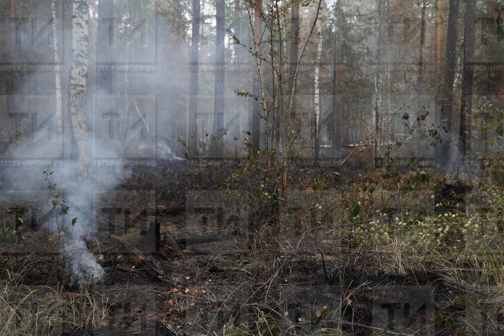В Татарстане из-за пожарной опасности продлили ограничение на пребывание в лесах