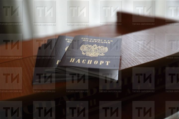 Буинцы, получить паспорт через портал удобно