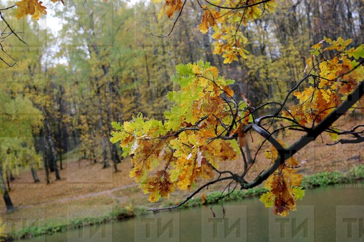 Циклон «Эшли» из Европы несет тепло в Татарстан