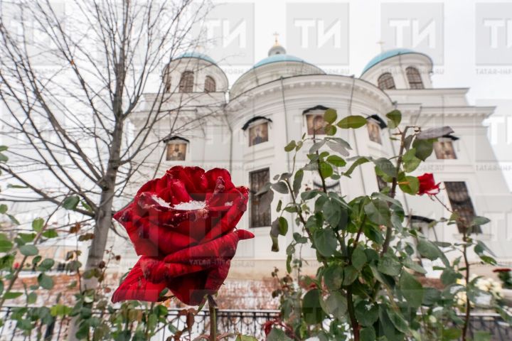 Аномальное тепло в Татарстане сохранится минимум до 1 декабря