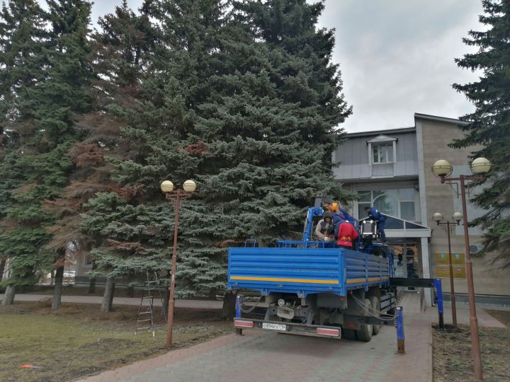 В Буинске производят омолаживающую обрезку деревьев. Сегодня для работников коммунального хозяйства мастер класс проводил заслуженный лесовод РФ Харис Мусин (фото, видео)