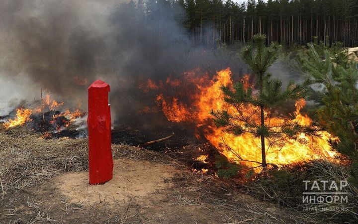 Управление Россельхознадзора по РТ  напоминает об опасности выжигания сухой травы на землях сельскохозяйственного назначения