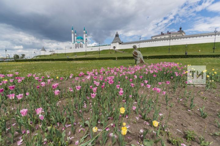 Казань представят экспозиции из тюльпанов на выставке в Москве
