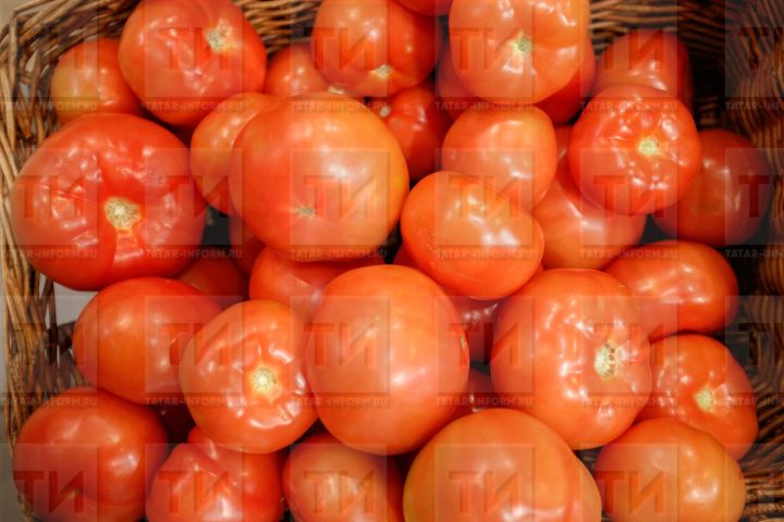 Календарь огородника: куриный помет поможет получить большой урожай помидоров
