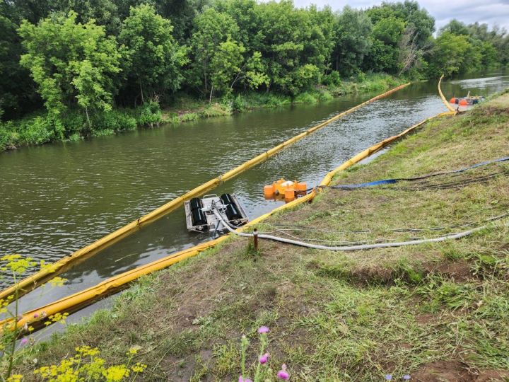 Минсельхоз объявляет прием заявок на участие в конкурсном отборе заявителей на получение гранта