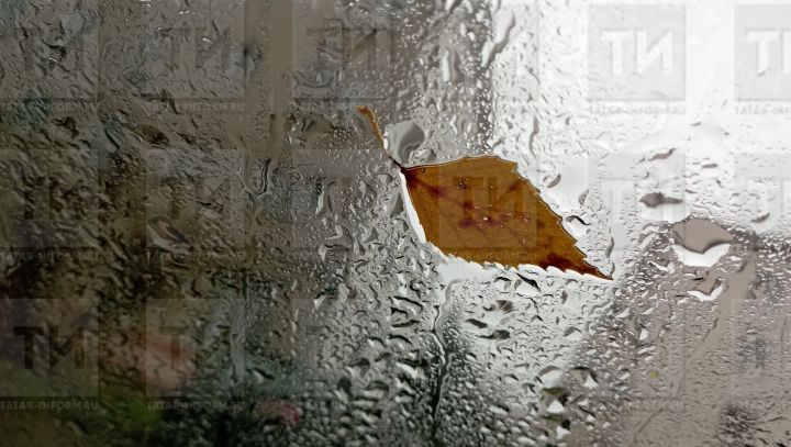 Когда в Татарстане закончатся проливные дожди