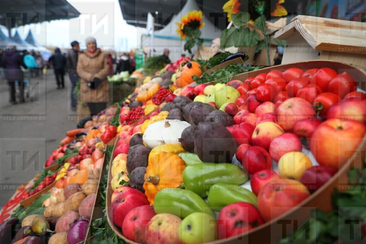 Календарь огородника: как сохранить свеклу, морковь и картофель