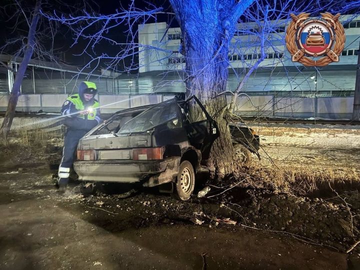 В Зеленодольске водитель легковушки погиб, врезавшись в дерево