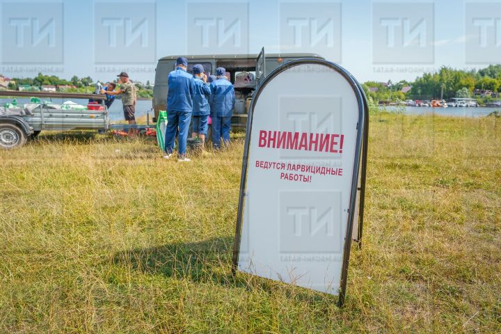 Врачи рассказали, что делать, если самостоятельно вытащил клеща после укуса
