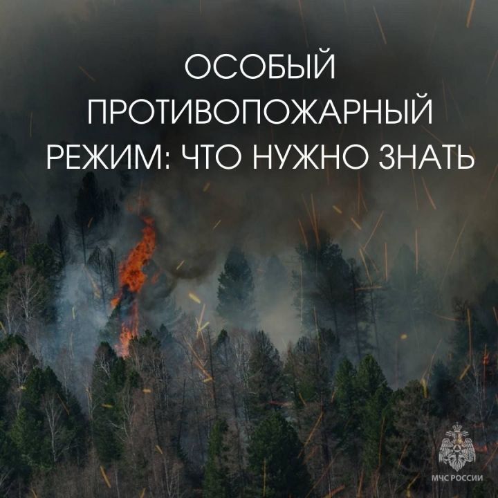 На территории Буинского района установлен особый противопожарный режим. Что нельзя делать