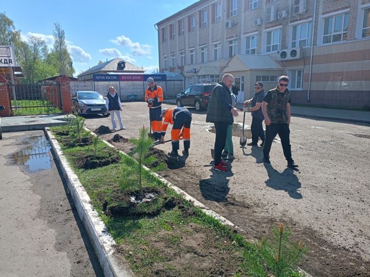 Буада санитар-чистарту икеайлыгы дәвам итә