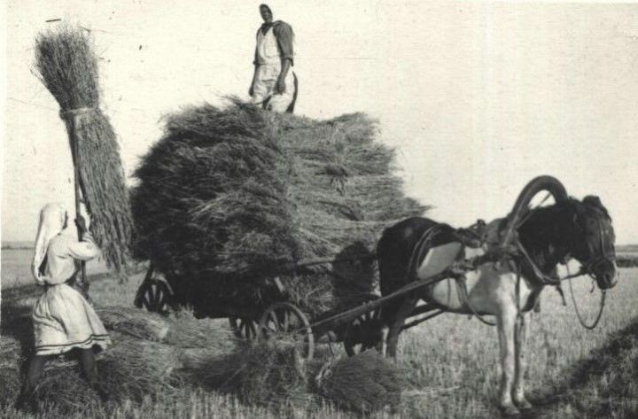 Вклад тружеников тыла