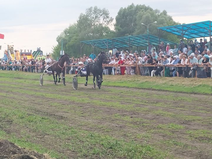 Стал известен абсолютный чемпион конных скачек в Буинском районе (+фото, видео)