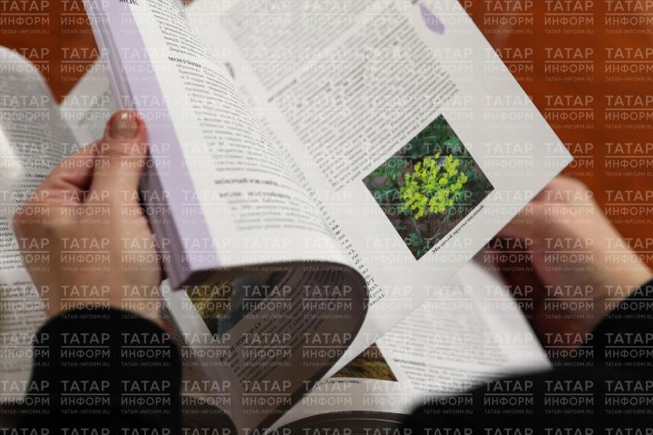 Татар энциклопедиясе һәм төбәкне өйрәнү институты Буа районы энциклопедиясен әзерли