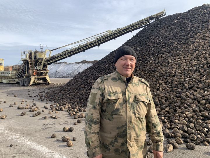 Буа районы кырларында үскән чөгендернең уңышы яхшы, шикәрлелеге түбән