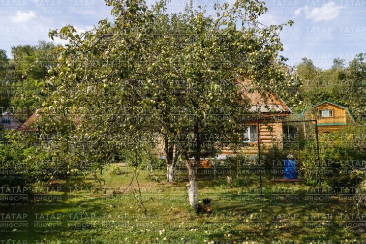 На заметку буинцам:  условия газификации жилых домов в садовых участках