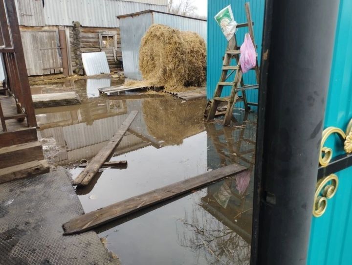 В деревне Бик-Утеево Буинского района вода затопила дворы (+фото)