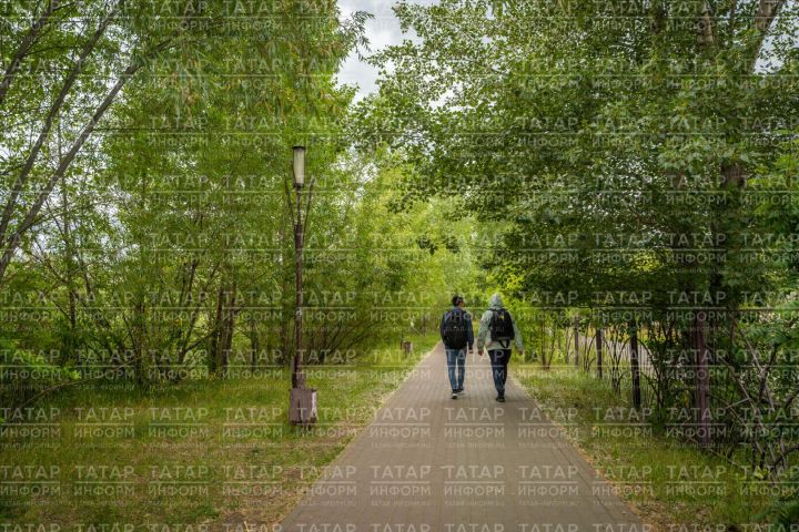 Буалылар 2027 елда 118 ял көн ял итәчәк