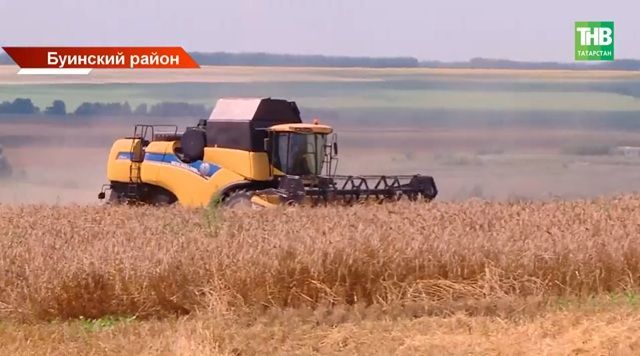 Буинский район — лидер жатвы в Татарстане: аграрии обещают рекордный урожай