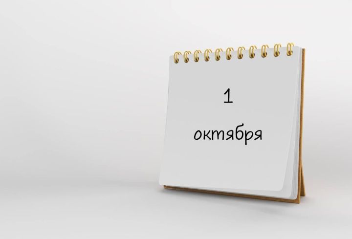 До 1 октября успей подать заявление на получение НСУ в натуральной форме